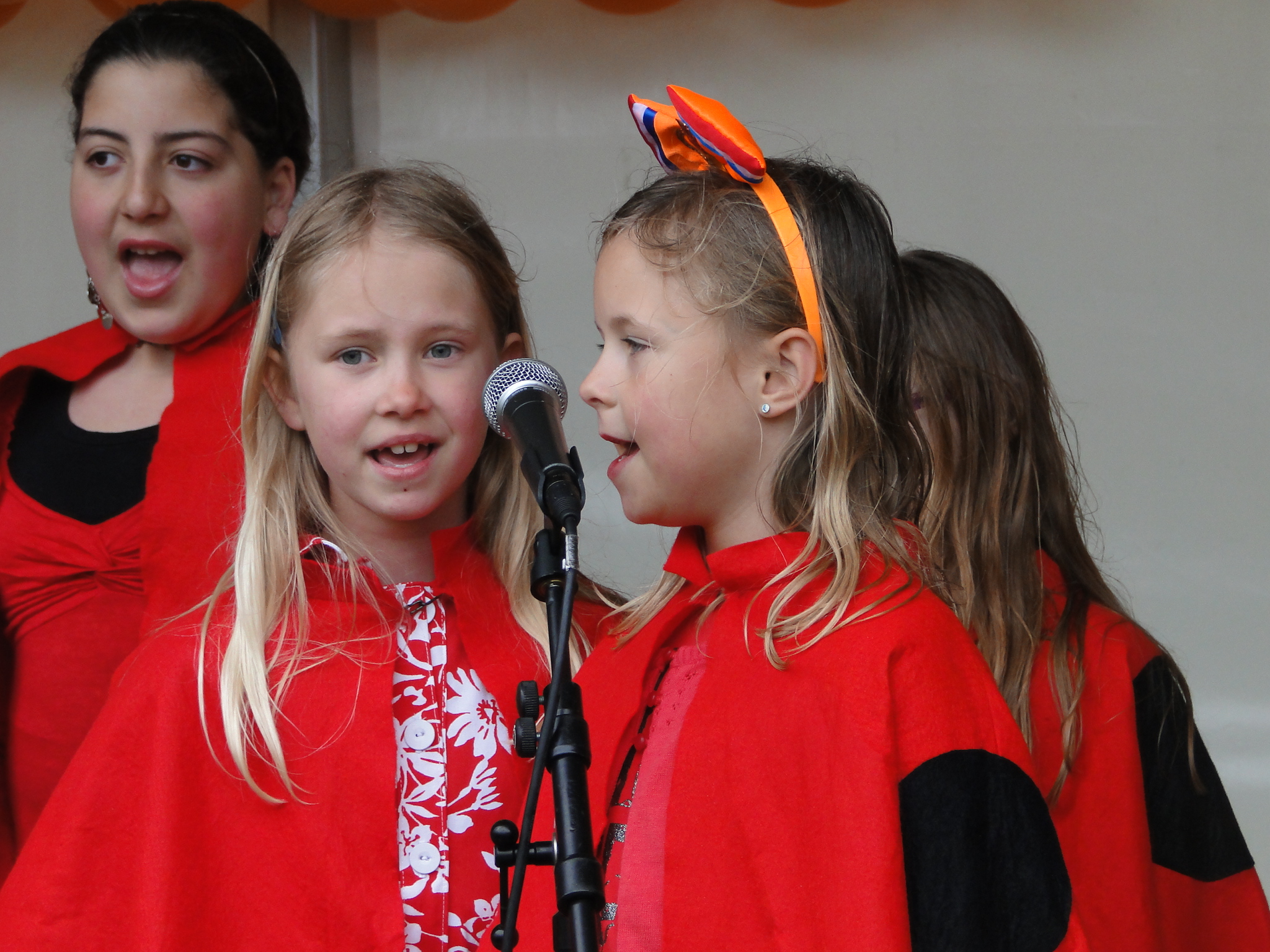 Koninginnedag 2010 090.jpg
